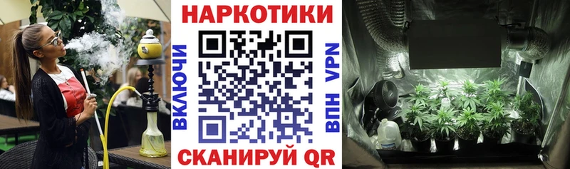 Виды наркоты Кудрово МАРИХУАНА  Гашиш 