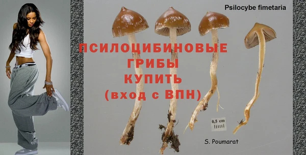 Альфа ПВП Протвино