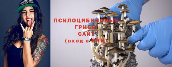 синтетический гашиш Алексеевка