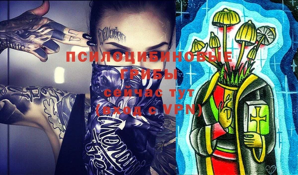 Альфа ПВП Армянск