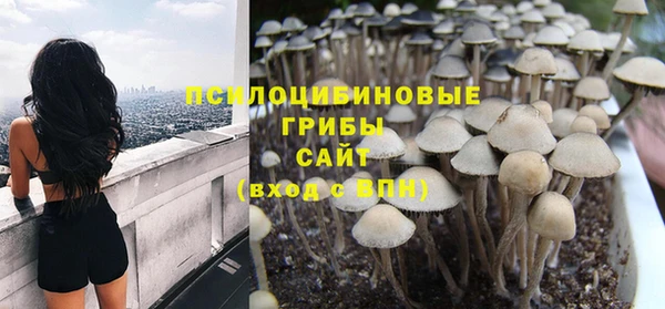 apvp Приозерск