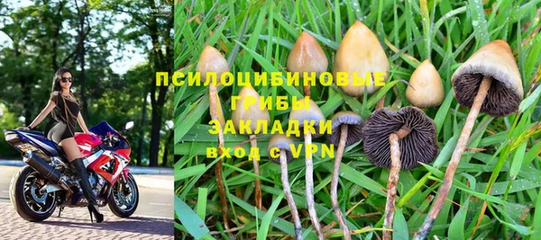 Альфа ПВП Армянск