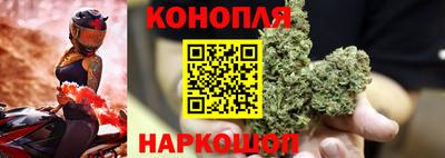 гидра Кинель