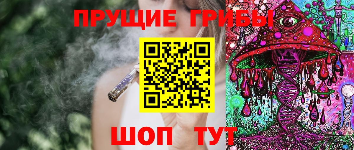 Псилоцибиновые грибы Psilocybine cubensis  Вход с VPN  даркнет сайт  Кудрово  Псилоцибиновые грибы мицелий 